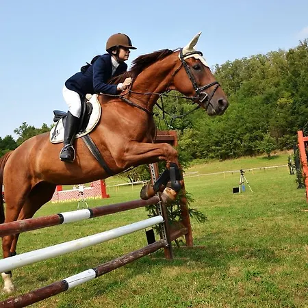 Casa Violetta Agrate Conturbia